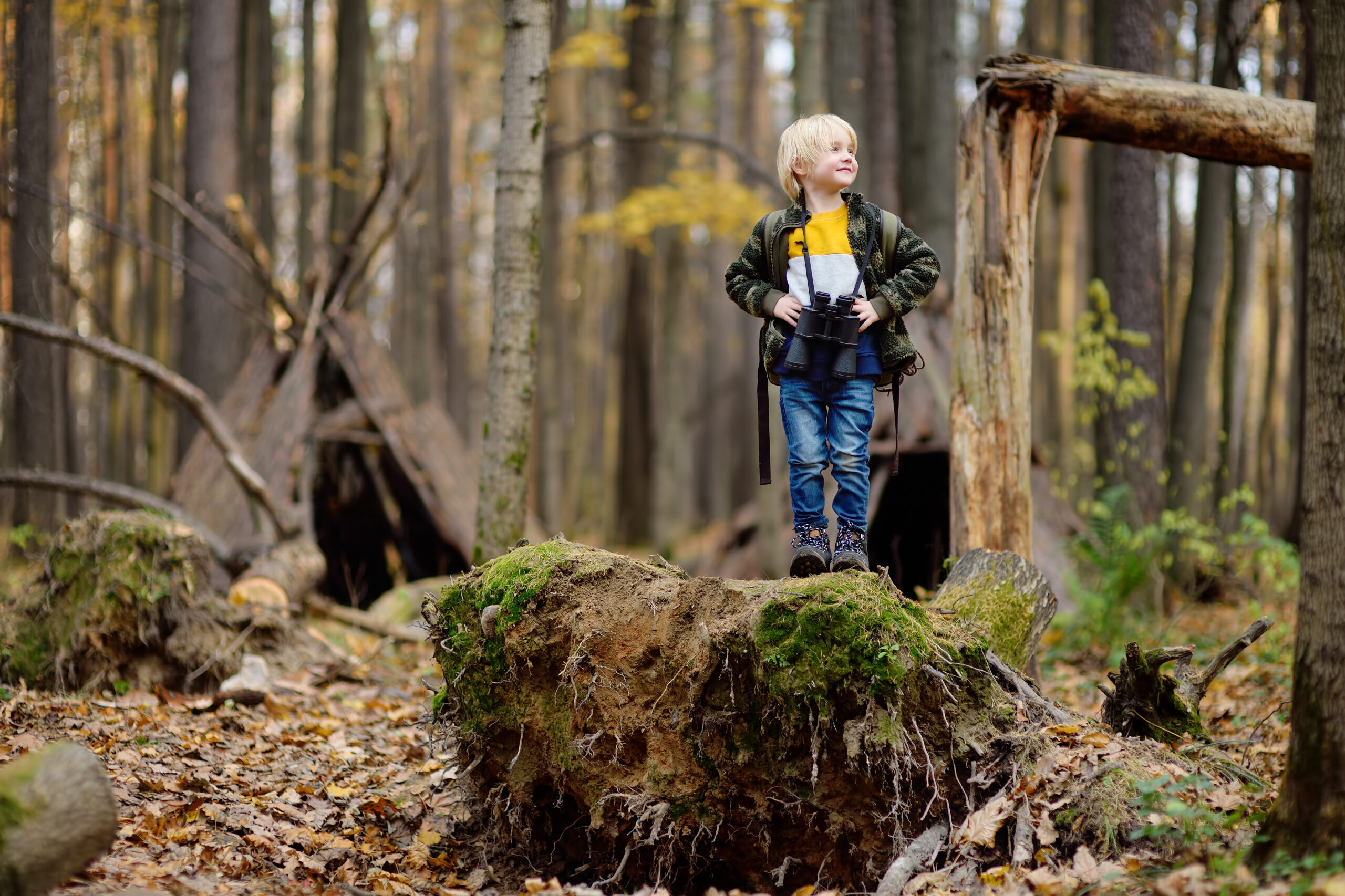 Little boy scout with binoculars during hiking in autumn forest. Child is looking through a binoculars.